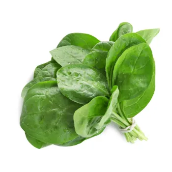 Spinach (43)-8456562-53276.webp